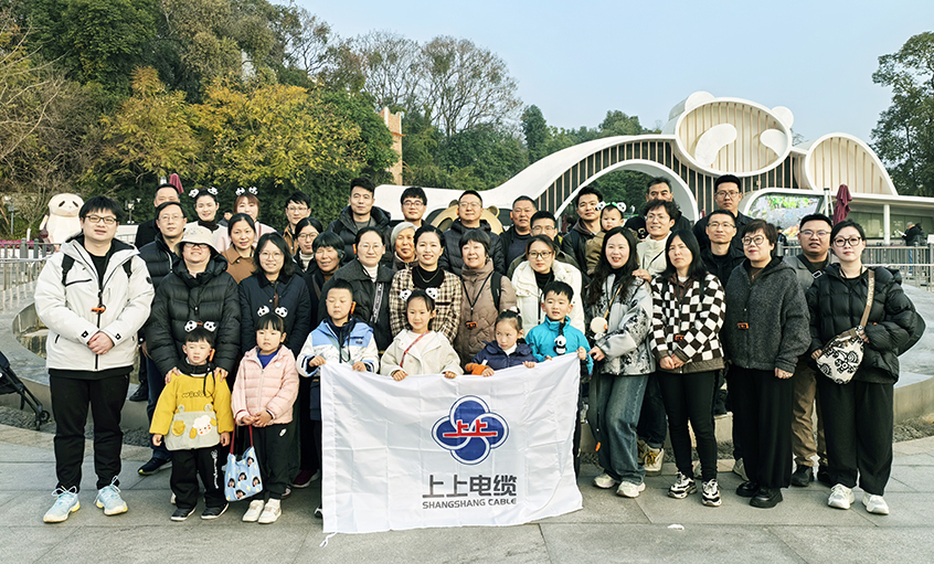 以(yi)文(wén)化潤心 用(yong)關懷聚(ju)力(li)——江(jiang)蘇上上電(dian)纜集(ji)團(tuán)2024年(nian)度先(xian)進(jin)員(yuan)工(gong)蜀韻文(wén)化之(zhi)旅圓滿收官